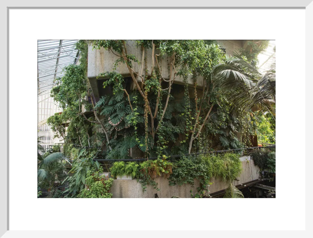 Barbican Conservatory Photograph by Harry Cory Wright