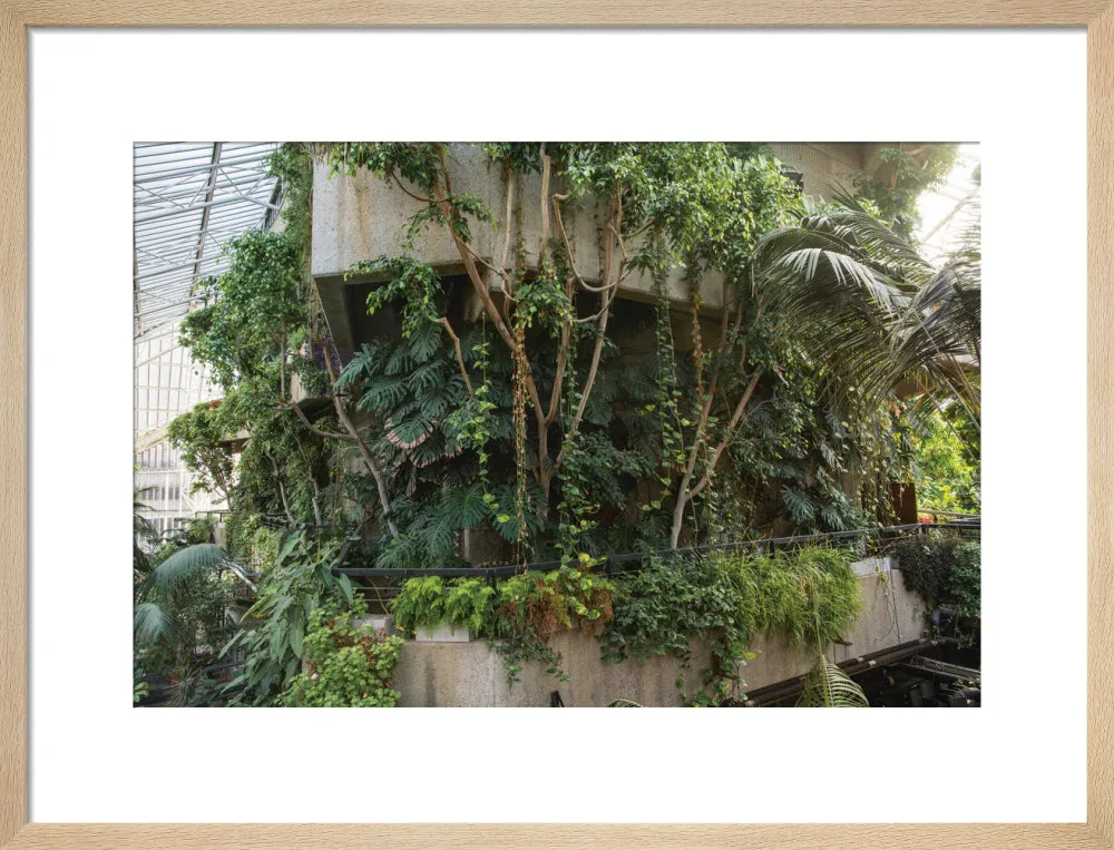Barbican Conservatory Photograph by Harry Cory Wright