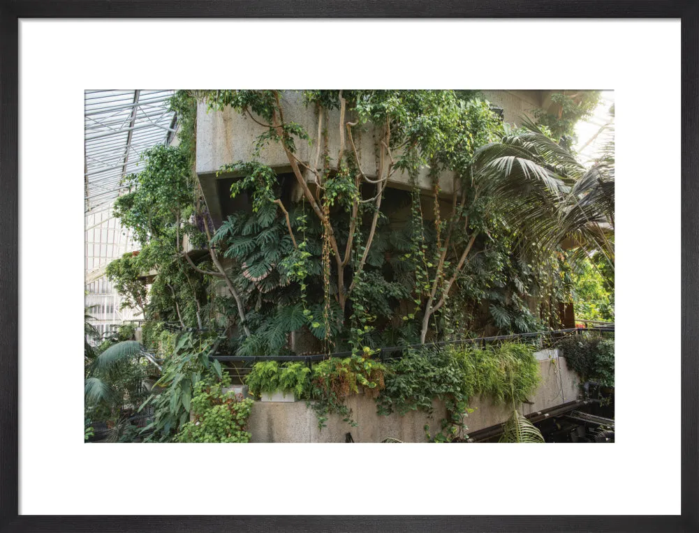 Barbican Conservatory Photograph by Harry Cory Wright