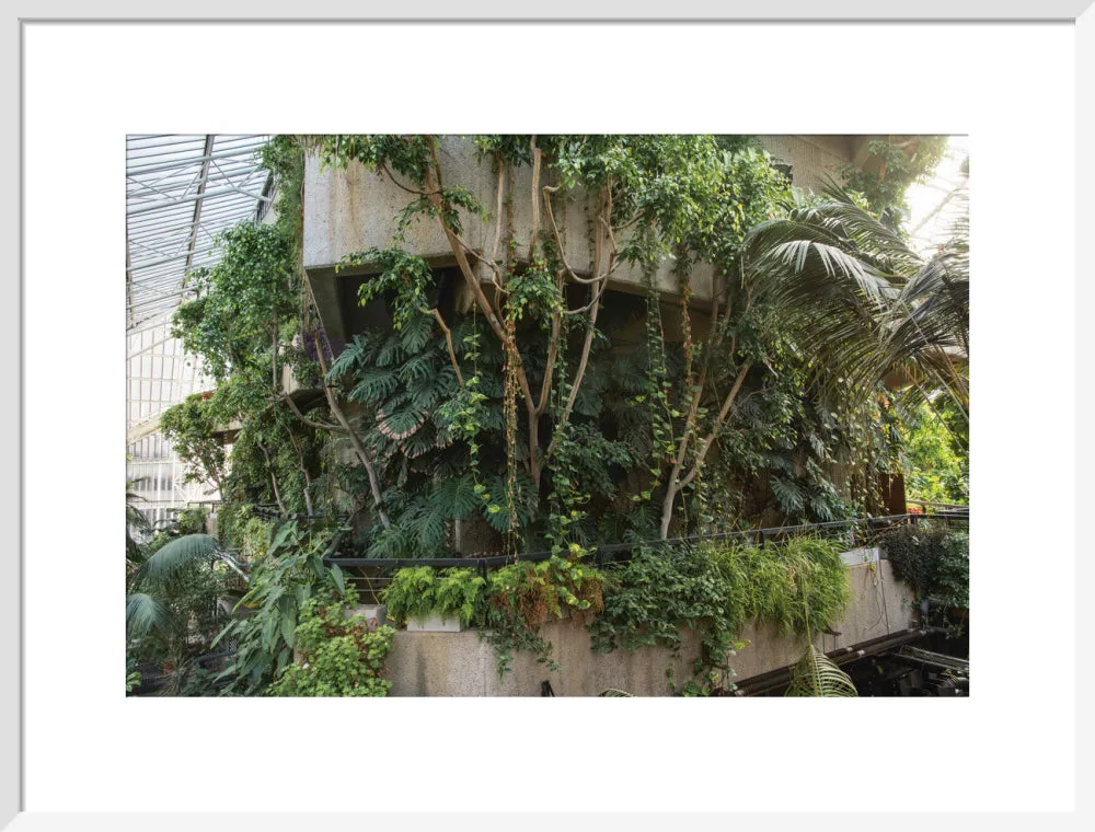 Barbican Conservatory Photograph by Harry Cory Wright