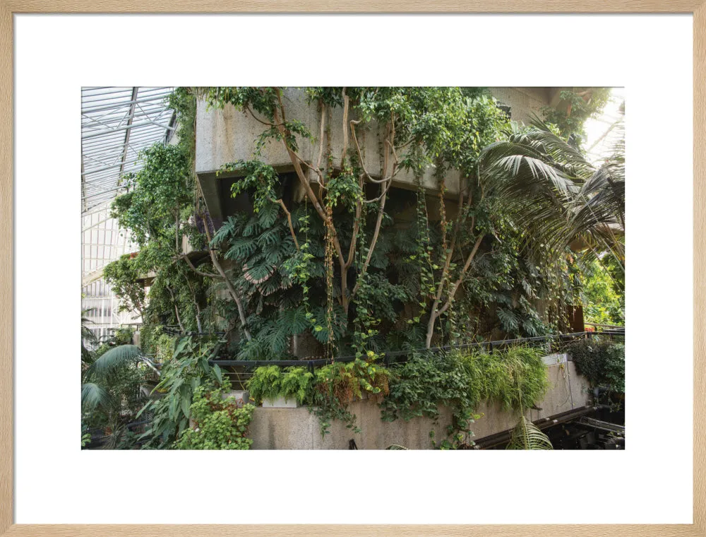 Barbican Conservatory Photograph by Harry Cory Wright
