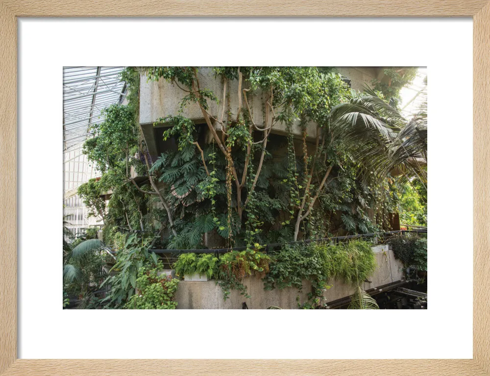 Barbican Conservatory Photograph by Harry Cory Wright