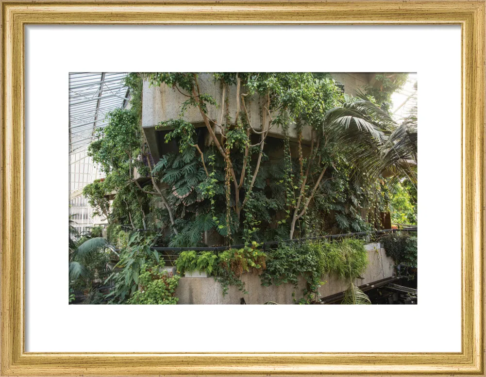 Barbican Conservatory Photograph by Harry Cory Wright