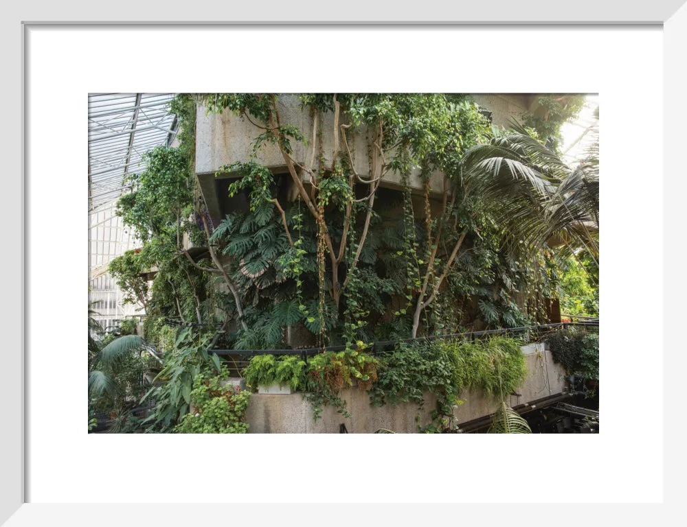 Barbican Conservatory Photograph by Harry Cory Wright