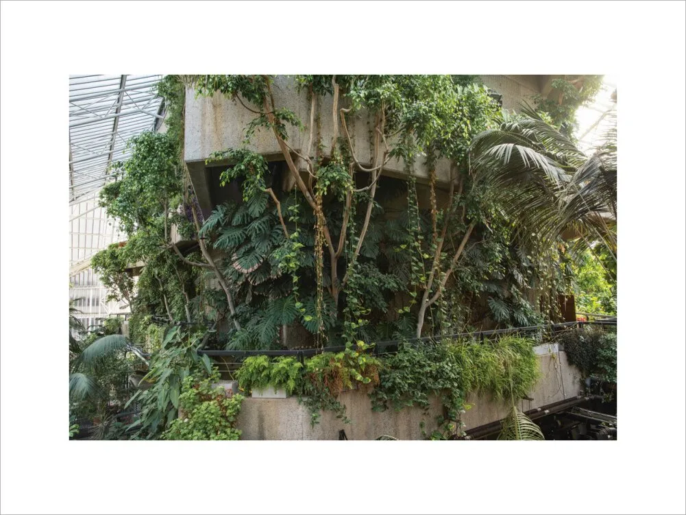 Barbican Conservatory Photograph by Harry Cory Wright