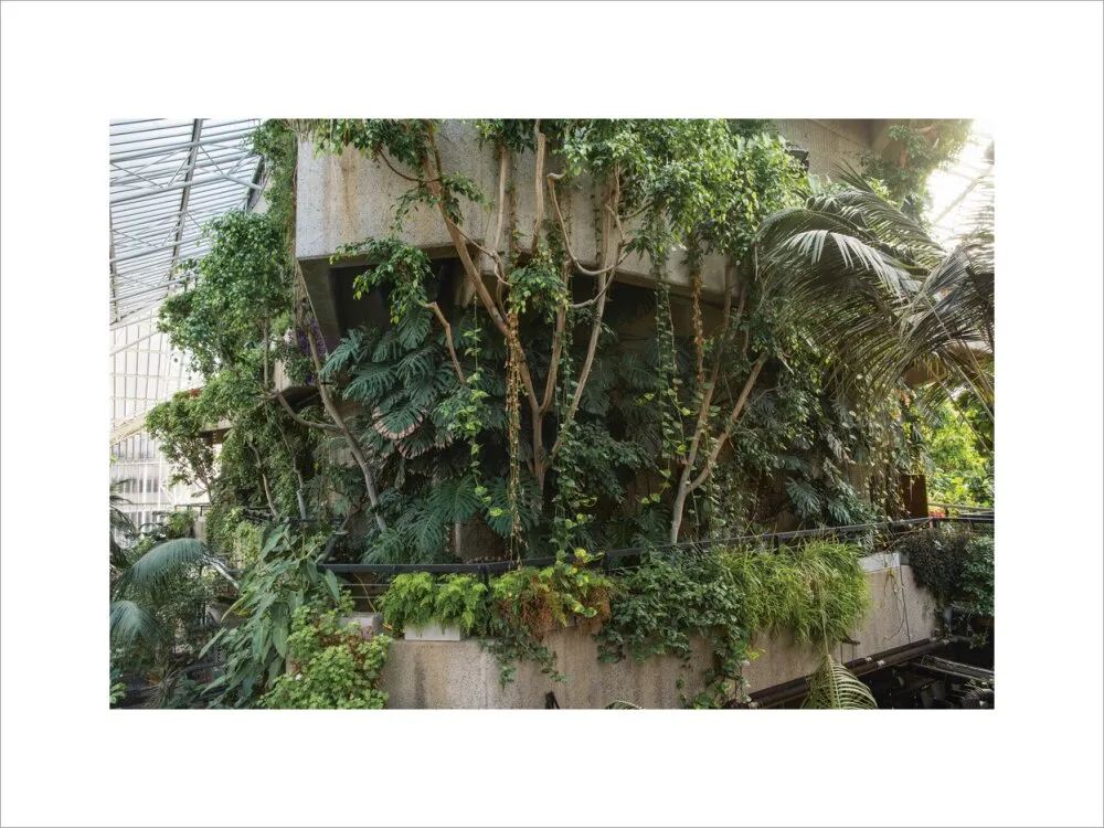 Barbican Conservatory Photograph by Harry Cory Wright