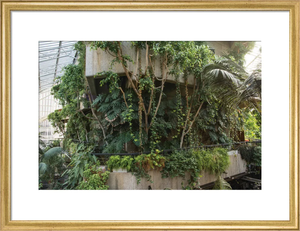 Barbican Conservatory Photograph by Harry Cory Wright