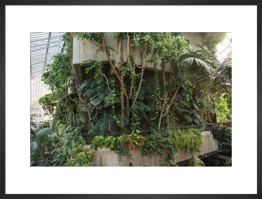 Barbican Conservatory Photograph by Harry Cory Wright
