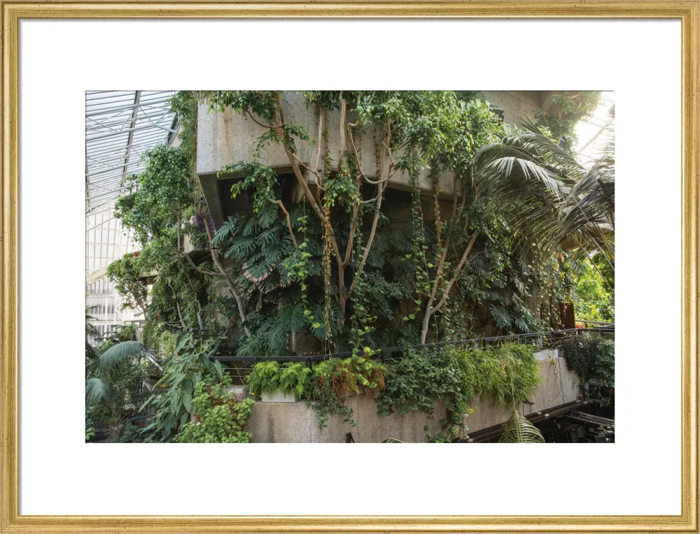 Barbican Conservatory Photograph by Harry Cory Wright