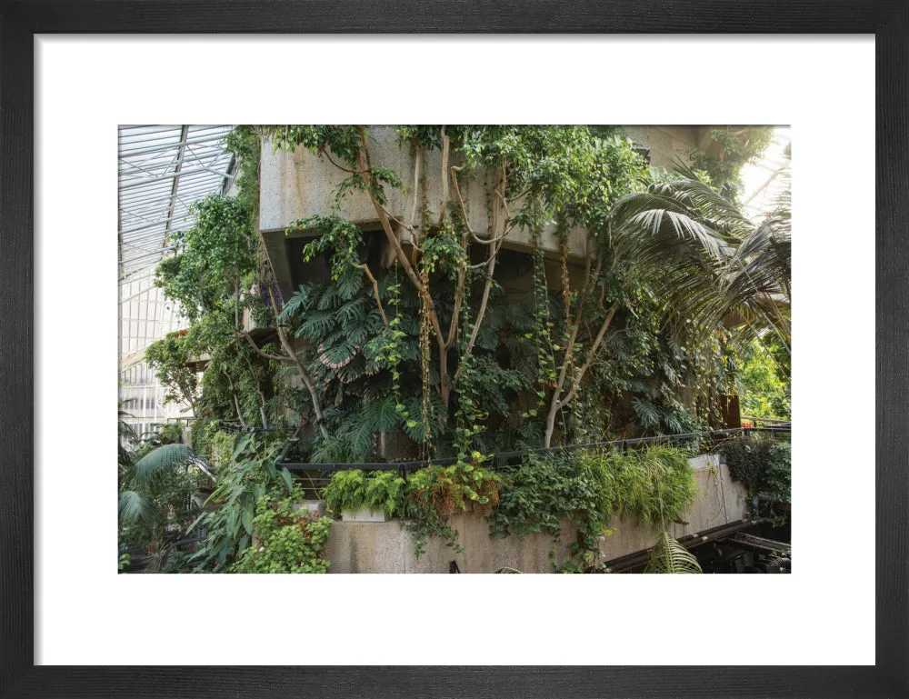 Barbican Conservatory Photograph by Harry Cory Wright