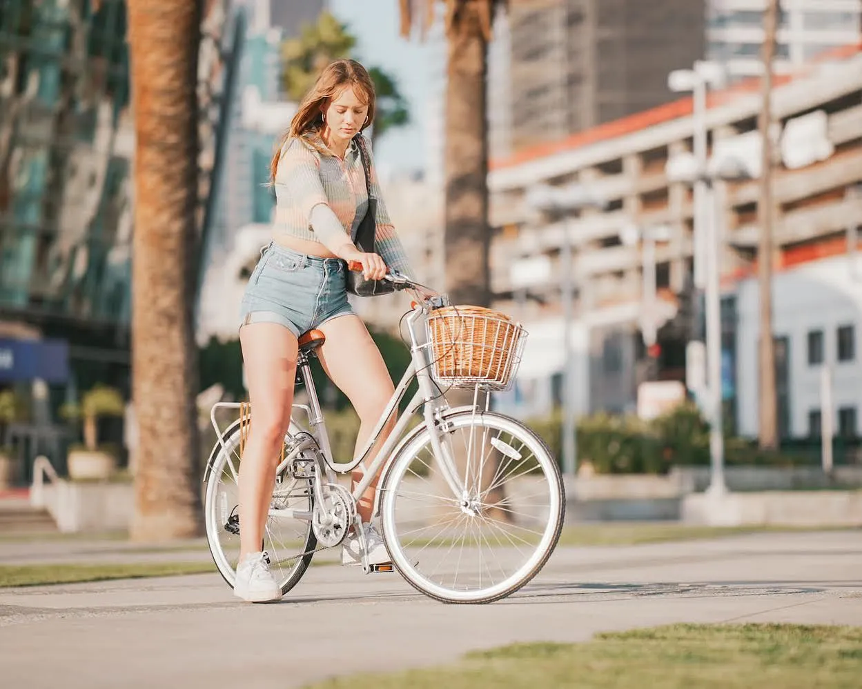XDS Classic 7sp Women's City Bike